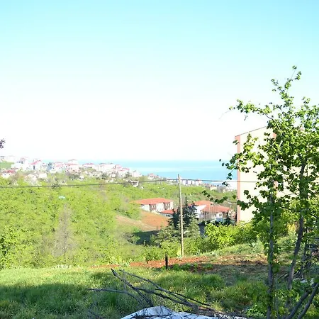 Zeynep Apart