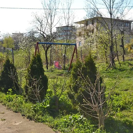 Apartment Zeynep Apart *
