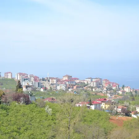 Zeynep Apart Apartment *