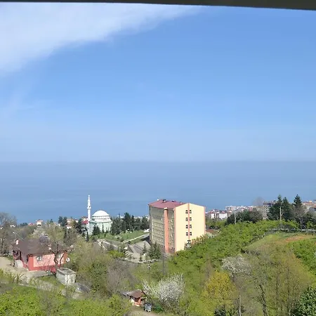 Apartment Zeynep Apart *